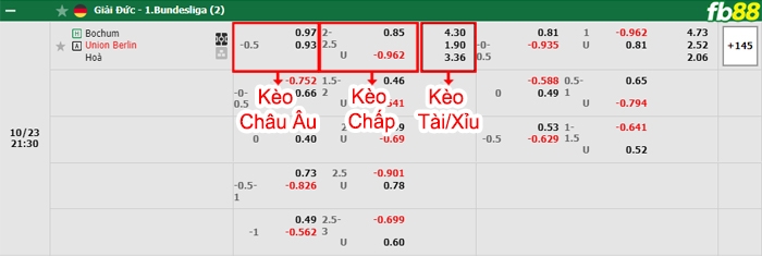Fb88 bảng kèo trận đấu Bochum vs Union Berlin