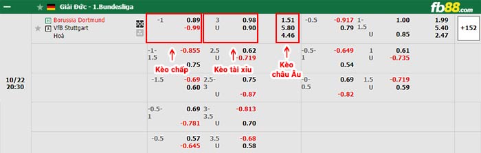 fb88-bảng kèo trận đấu Dortmund vs Stuttgart