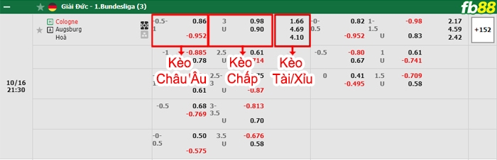Fb88 bảng kèo trận đấu FC Koln vs Augsburg