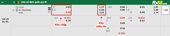 fb88-bảng kèo trận đấu Genk vs Mechelen