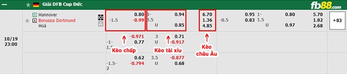 fb88-bảng kèo trận đấu Hannover vs Dortmund