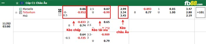 fb88-bảng kèo trận đấu Marseille vs Tottenham