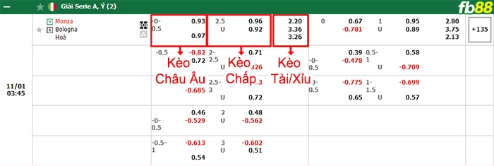 Fb88 bảng kèo trận đấu Monza vs Bologna