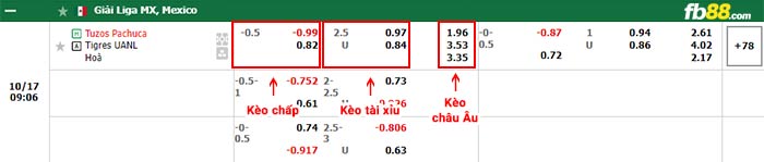 fb88-bảng kèo trận đấu Pachuca vs Tigres UANL