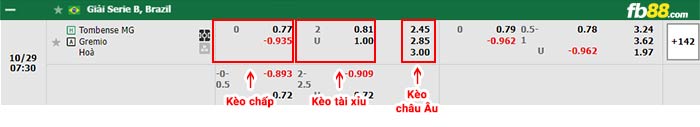 fb88-bảng kèo trận đấu Tombense vs Gremio