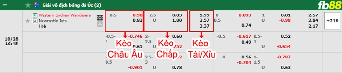 Fb88 bảng kèo trận đấu Western Sydney vs Newcastle Jets