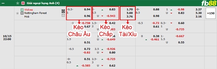 Fb88 bảng kèo trận đấu Wolves vs Nottingham Forest