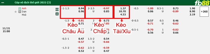 Fb88 bảng kèo trận đấu Anh vs Iran