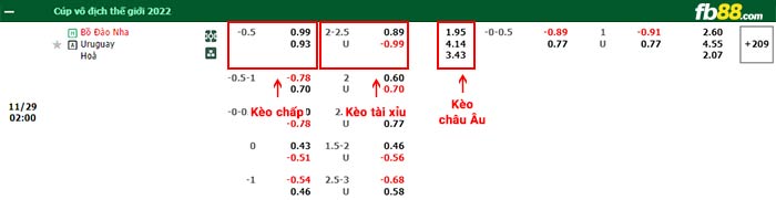 fb88-bảng kèo trận đấu Bo Dao Nha vs Uruguay