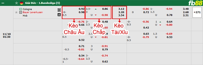 Fb88 bảng kèo trận đấu Koln vs Leverkusen