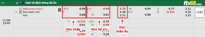 fb88-bảng kèo trận đấu Melbourne Victory vs Newcastle Jets