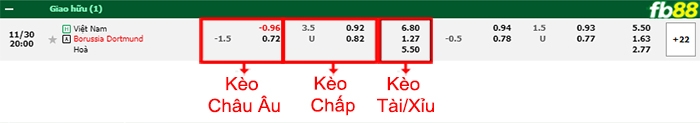 Fb88 bảng kèo trận đấu Việt Nam vs Dortmund