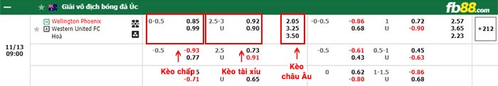 fb88-bảng kèo trận đấu Wellington Phoenix vs Western United