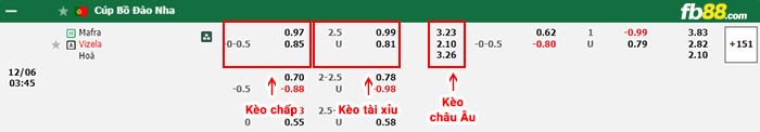 fb88-bảng kèo trận đấu Mafra vs Vizela