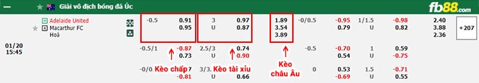 fb88-bảng kèo trận đấu Adelaide vs Macarthur