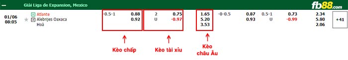 fb88-bảng kèo trận đấu Atlante vs Alebrijes Oaxaca