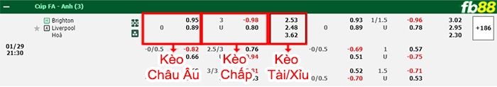 Fb88 bảng kèo trận đấu Brighton vs Liverpool
