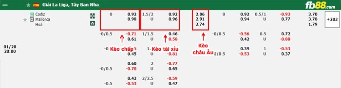 fb88-bảng kèo trận đấu Cadiz vs Mallorca