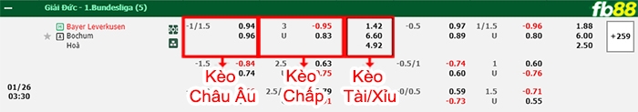 Fb88 bảng kèo trận đấu Leverkusen vs Bochum