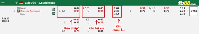 fb88-bảng kèo trận đấu Mainz vs Dortmund