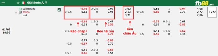 fb88-bảng kèo trận đấu Salernitana vs Torino