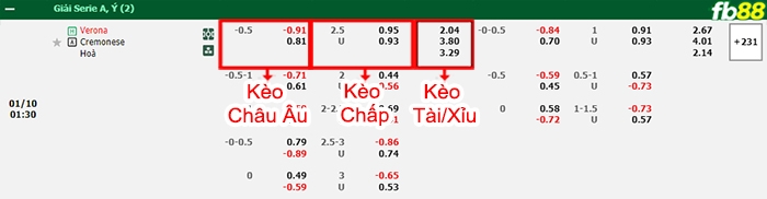 Fb88 bảng kèo trận đấu Verona vs Cremonese