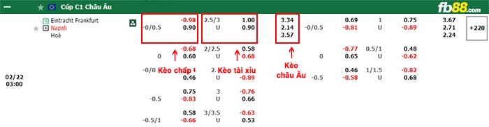 fb88-bảng kèo trận đấu Frankfurt vs Napoli