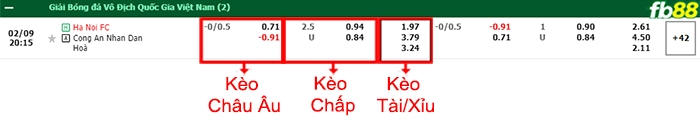 Fb88 bảng kèo trận đấu Hà Nội vs CAHN