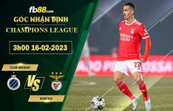 Fb88 soi kèo trận đấu Club Brugge vs Benfica