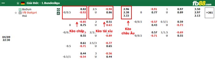 fb88-bảng kèo trận đấu Bochum vs Stuttgart