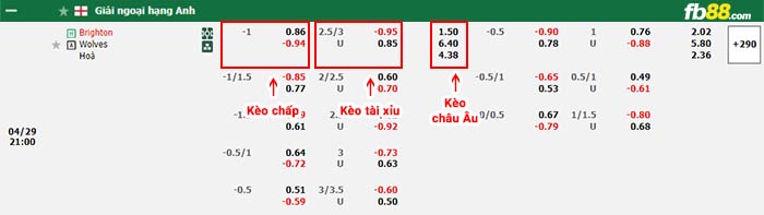 fb88-bảng kèo trận đấu Brighton vs Wolves