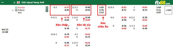 fb88-bảng kèo trận đấu Everton vs Fulham