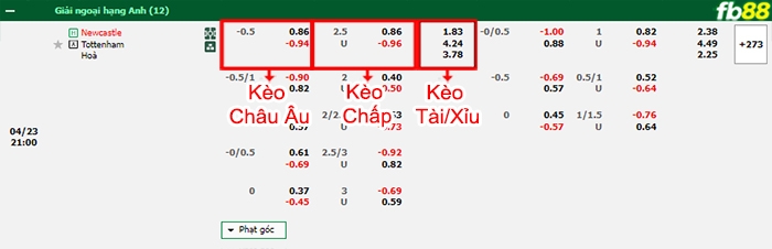 Fb88 bảng kèo trận đấu Newcastle vs Tottenham