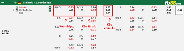 fb88-bảng kèo trận đấu Schalke vs Hertha Berlin