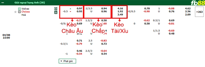 Fb88 bảng kèo trận đấu Wolves vs Chelsea