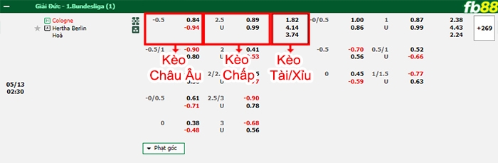 Fb88 bảng kèo trận đấu Koln vs Hertha Berlin