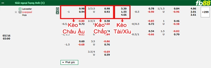 Fb88 bảng kèo trận đấu Leicester vs Liverpool