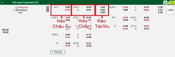 Fb88 bảng kèo trận đấu Tottenham vs Brentford