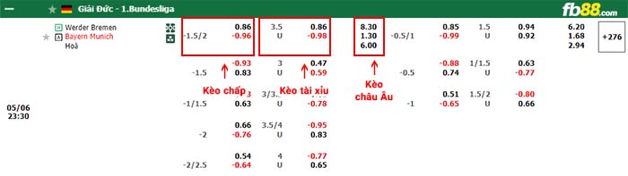 fb88-bảng kèo trận đấu Werder Bremen vs Bayern Munich