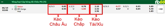 Fb88 bảng kèo trận đấu Gabon vs CH Congo