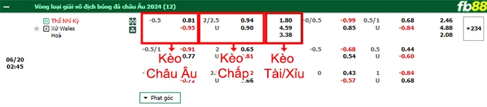 Fb88 bảng kèo trận đấu Thổ Nhĩ Kỳ vs Wales