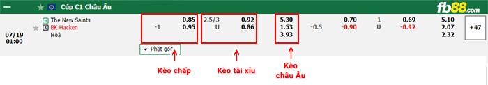 fb88-bảng kèo trận đấu The New Saints vs Hacken
