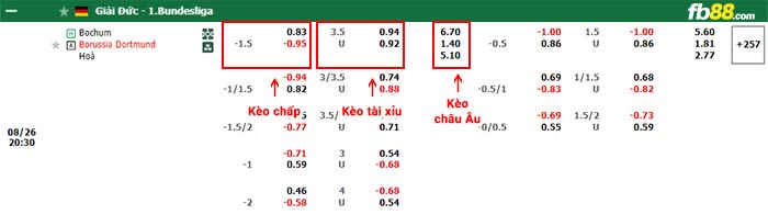 fb88-bảng kèo trận đấu Bochum vs Dortmund