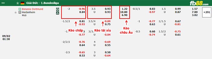 fb88-bảng kèo trận đấu Dortmund vs Heidenheim