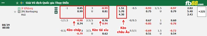 fb88-bảng kèo trận đấu Elfsborg vs Norrkoping