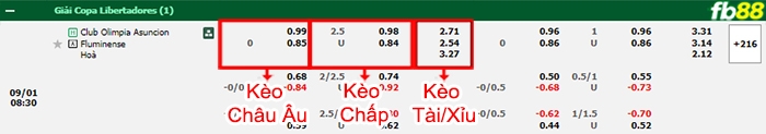 Fb88 bảng kèo trận đấu Olimpia Asuncion vs Fluminense