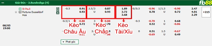 Fb88 bảng kèo trận đấu St. Pauli vs Dusseldorf