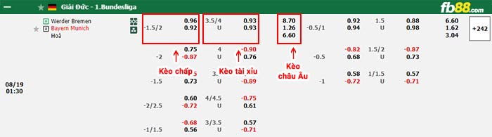 fb88-bảng kèo trận đấu Werder Bremen vs Bayern Munich