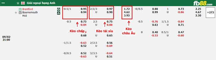 fb88-bảng kèo trận đấu Brentford vs Bournemouth