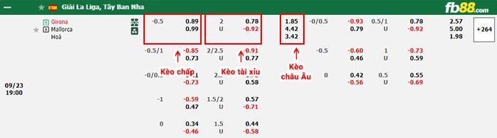 fb88-bảng kèo trận đấu Girona vs Mallorca